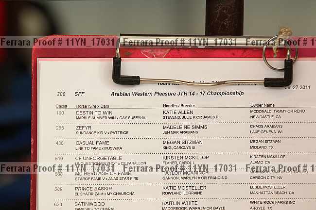 Proof Number 11yn_17031