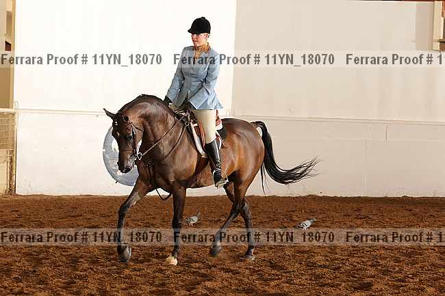 Proof Number 11yn_18070
