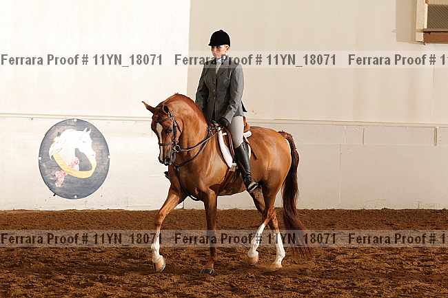 Proof Number 11yn_18071