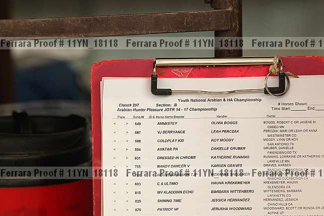 Proof Number 11yn_18118