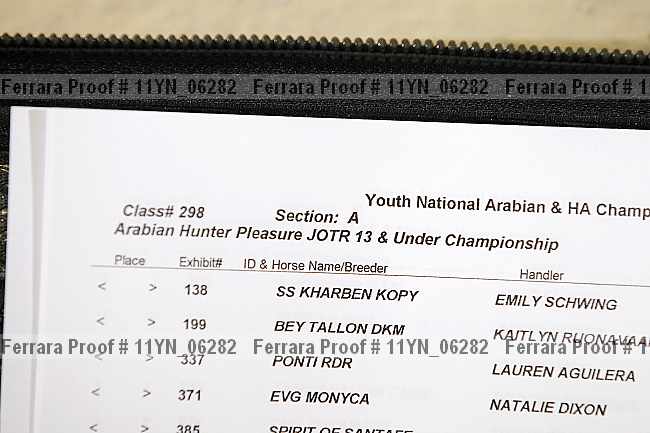 Proof Number 11yn_06282