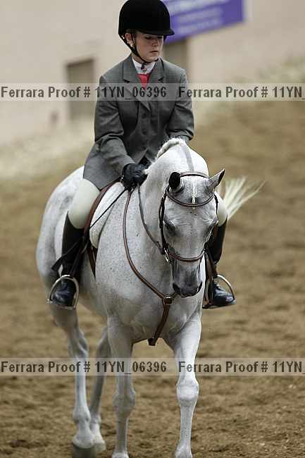 Proof Number 11yn_06396