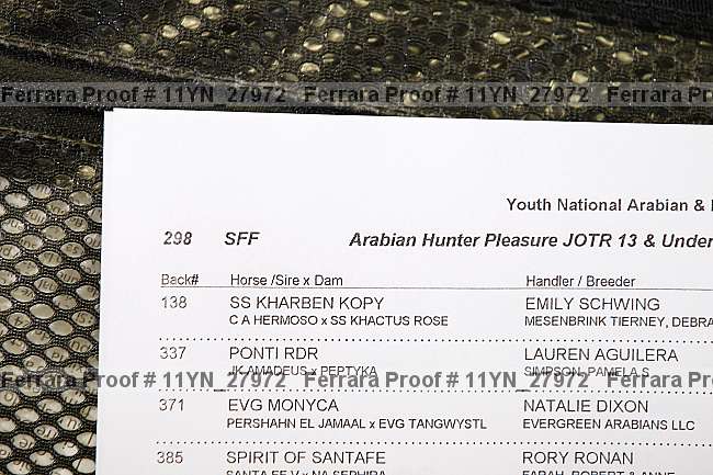 Proof Number 11yn_27972