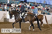 11yn_27985 thumbnail