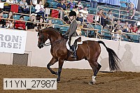11yn_27987 thumbnail