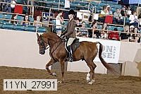 11yn_27991 thumbnail