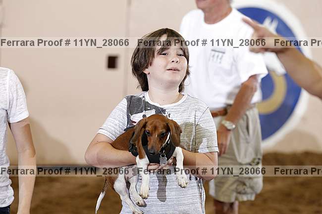 Proof Number 11yn_28066