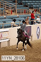 11yn_28106 thumbnail