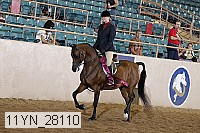 11yn_28110 thumbnail