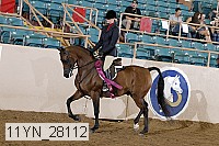 11yn_28112 thumbnail