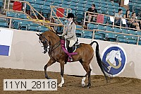 11yn_28118 thumbnail