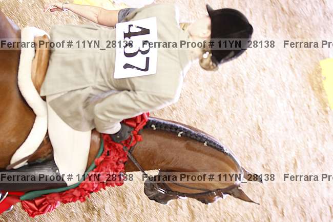 Proof Number 11yn_28138