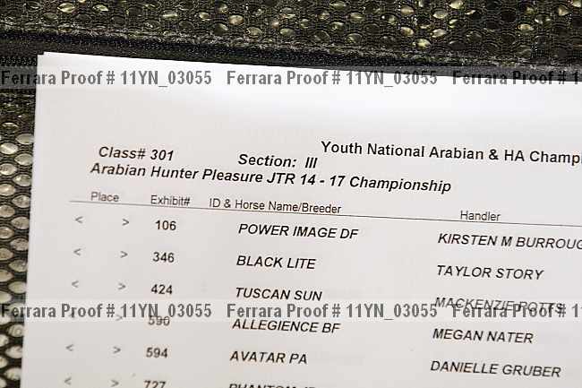 Proof Number 11yn_03055