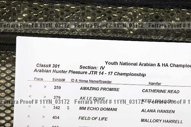 Proof Number 11yn_03172