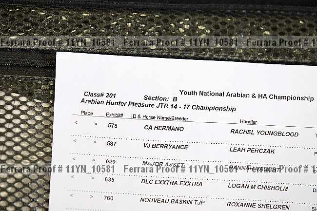 Proof Number 11yn_10581