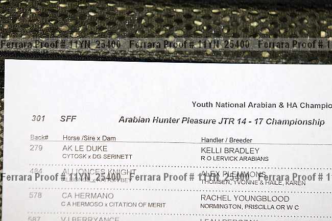 Proof Number 11yn_25400