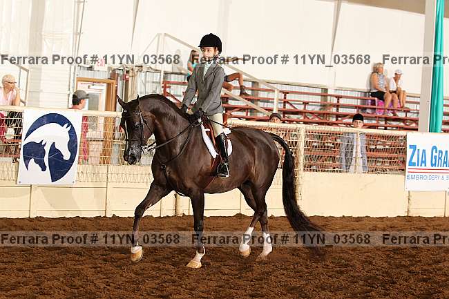Proof Number 11yn_03568