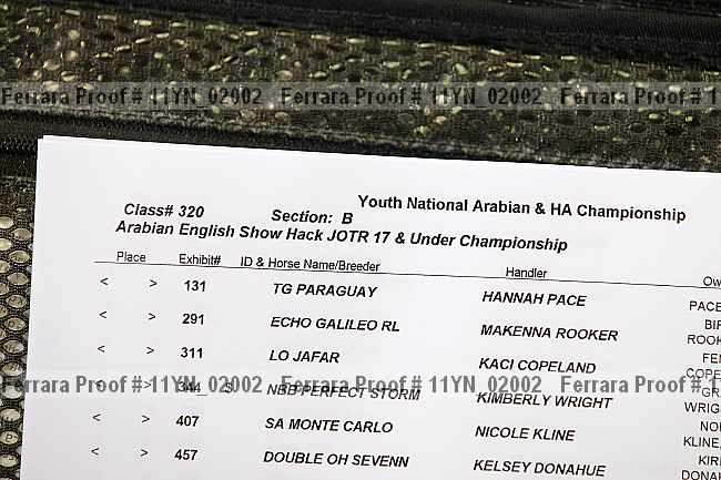 Proof Number 11yn_02002