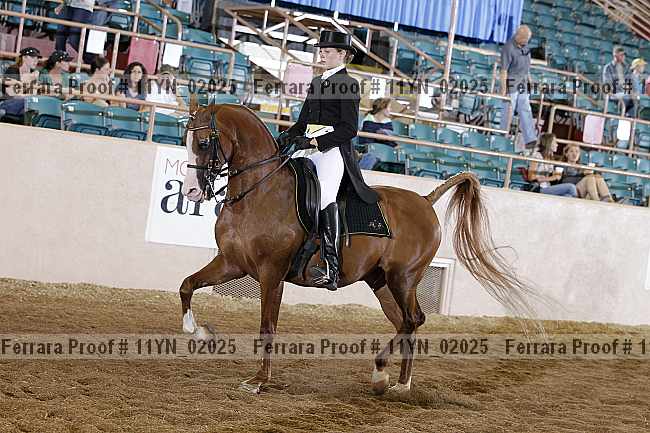 Proof Number 11yn_02025