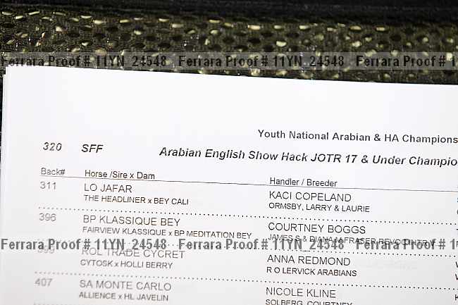 Proof Number 11yn_24548