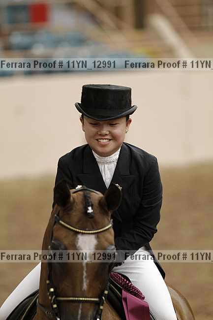 Proof Number 11yn_12991
