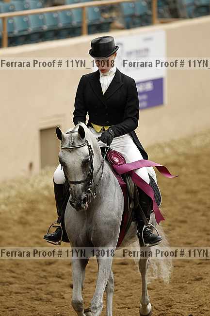 Proof Number 11yn_13018