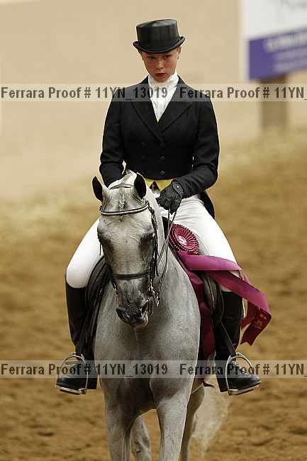 Proof Number 11yn_13019