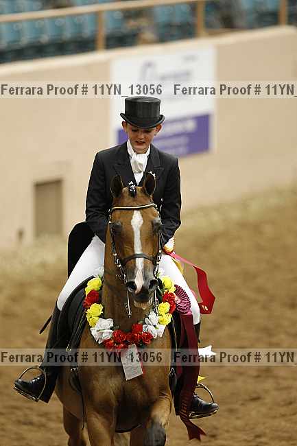 Proof Number 11yn_13056