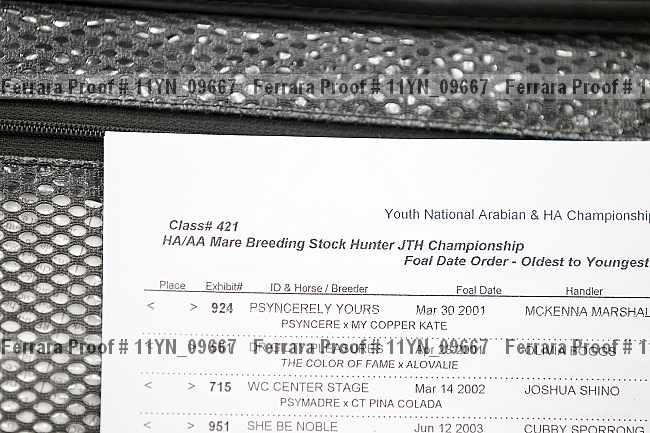 Proof Number 11yn_09667