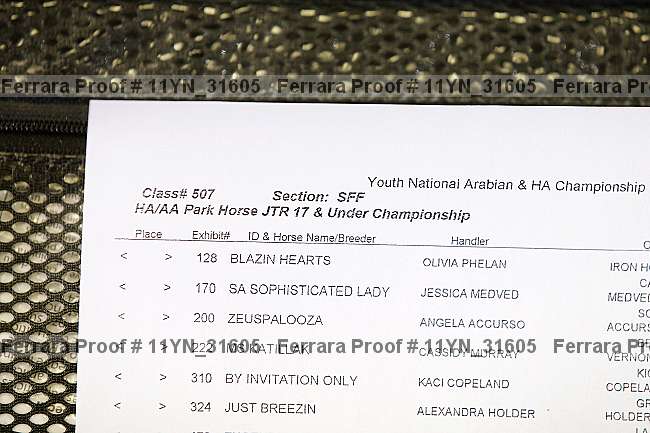 Proof Number 11yn_31605