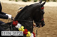 11yn_31725 thumbnail