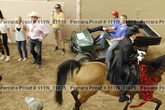 Proof Number 11yn_31875