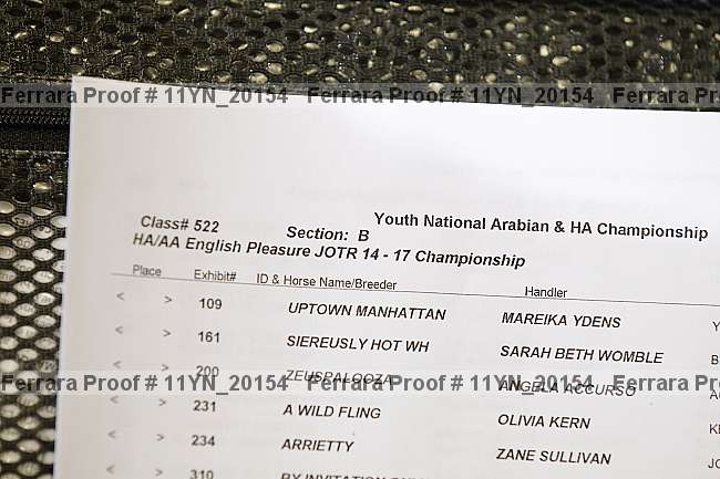 Proof Number 11yn_20154