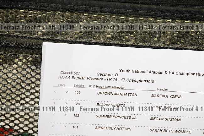 Proof Number 11yn_11840