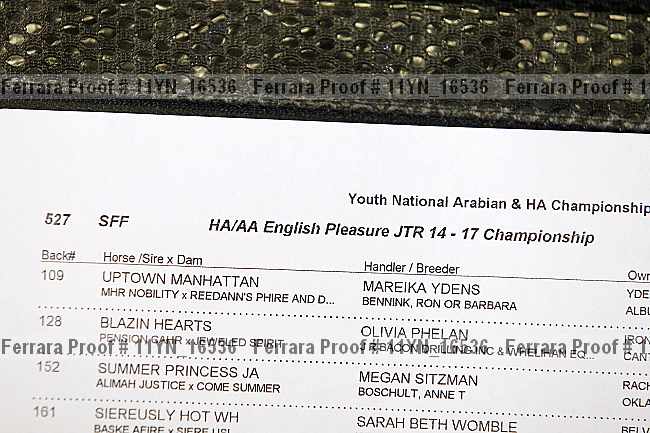 Proof Number 11yn_16536