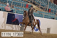 11yn_17369 thumbnail