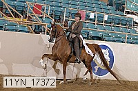 11yn_17372 thumbnail