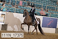 11yn_17375 thumbnail