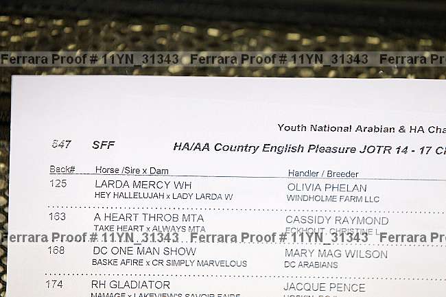 Proof Number 11yn_31343