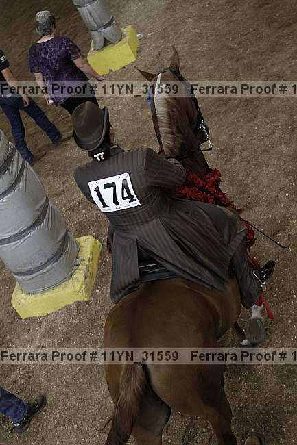 Proof Number 11yn_31559