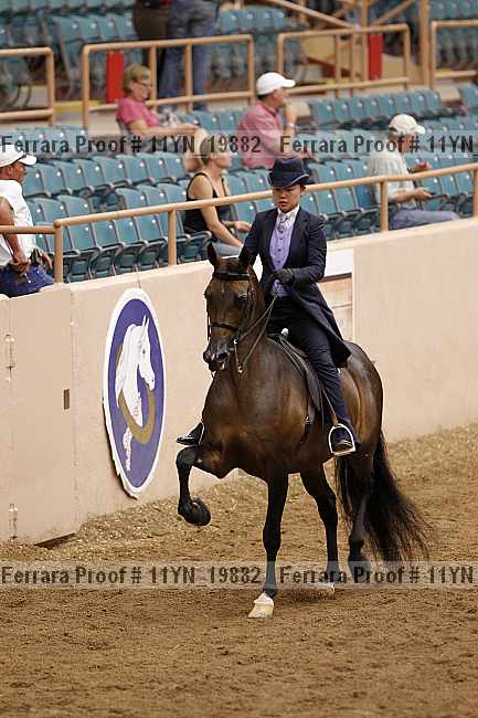 Proof Number 11yn_19882