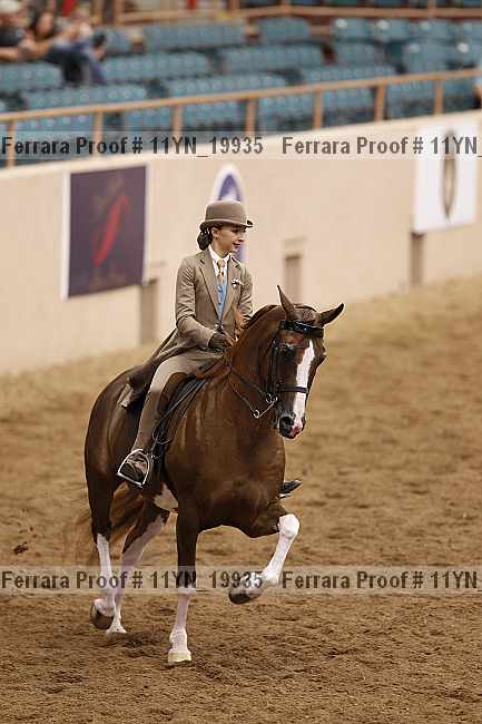 Proof Number 11yn_19935
