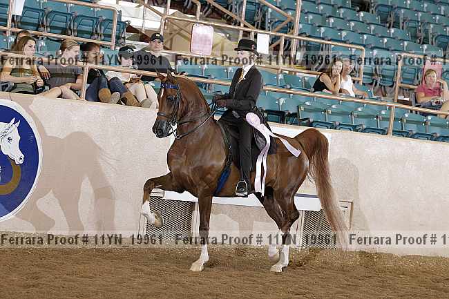 Proof Number 11yn_19961