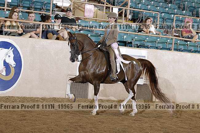 Proof Number 11yn_19965