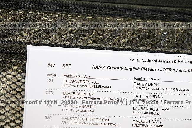 Proof Number 11yn_29559