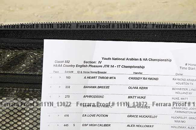 Proof Number 11yn_13072