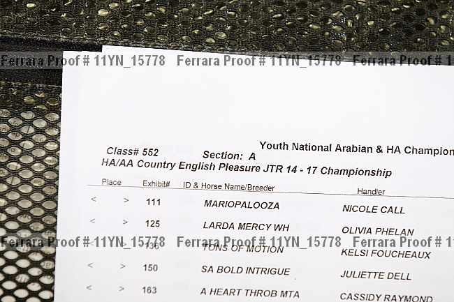 Proof Number 11yn_15778