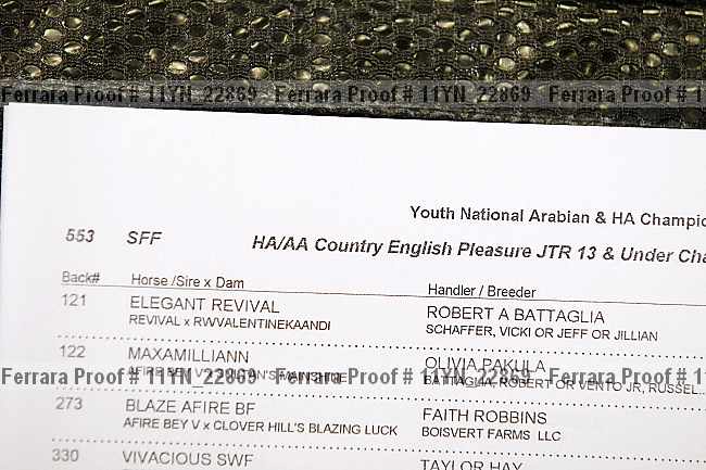 Proof Number 11yn_22869