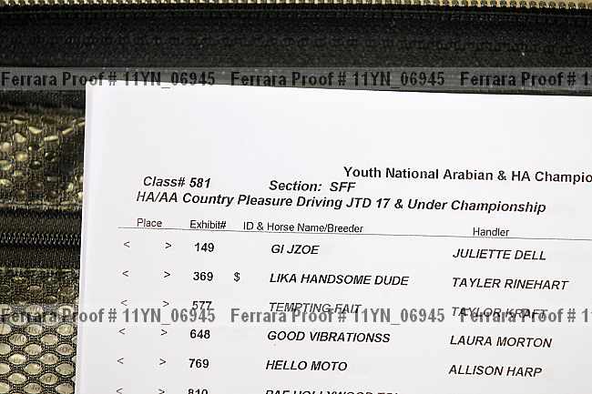 Proof Number 11yn_06945