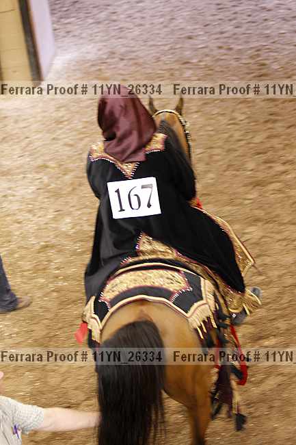 Proof Number 11yn_26334